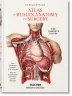 Bourgery. Atlas d’anatomie humaine et de chirurgie
