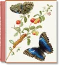 Merian