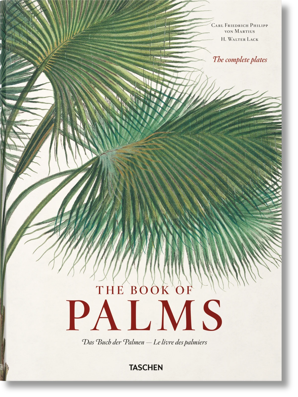 Martius. Das Buch der Palmen