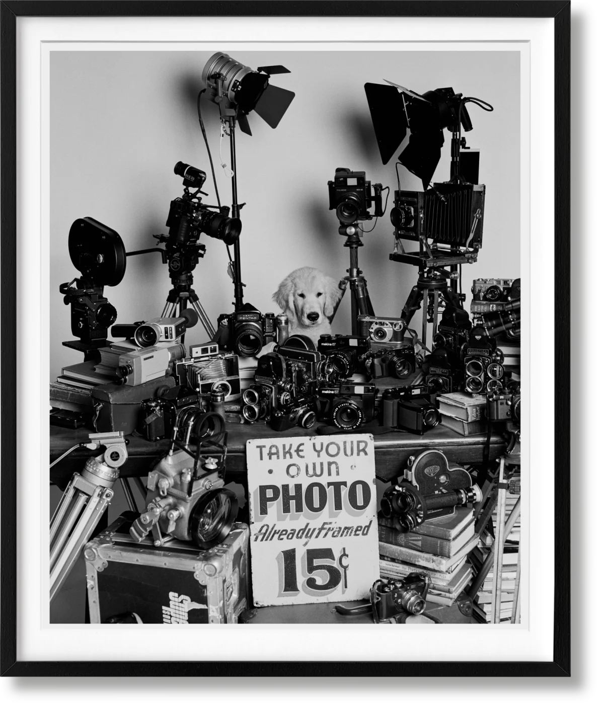 Bruce Weber. The Golden Retriever Photographic Society. Art Edition No. 101–200 ‘Hud, New York City, 2011’