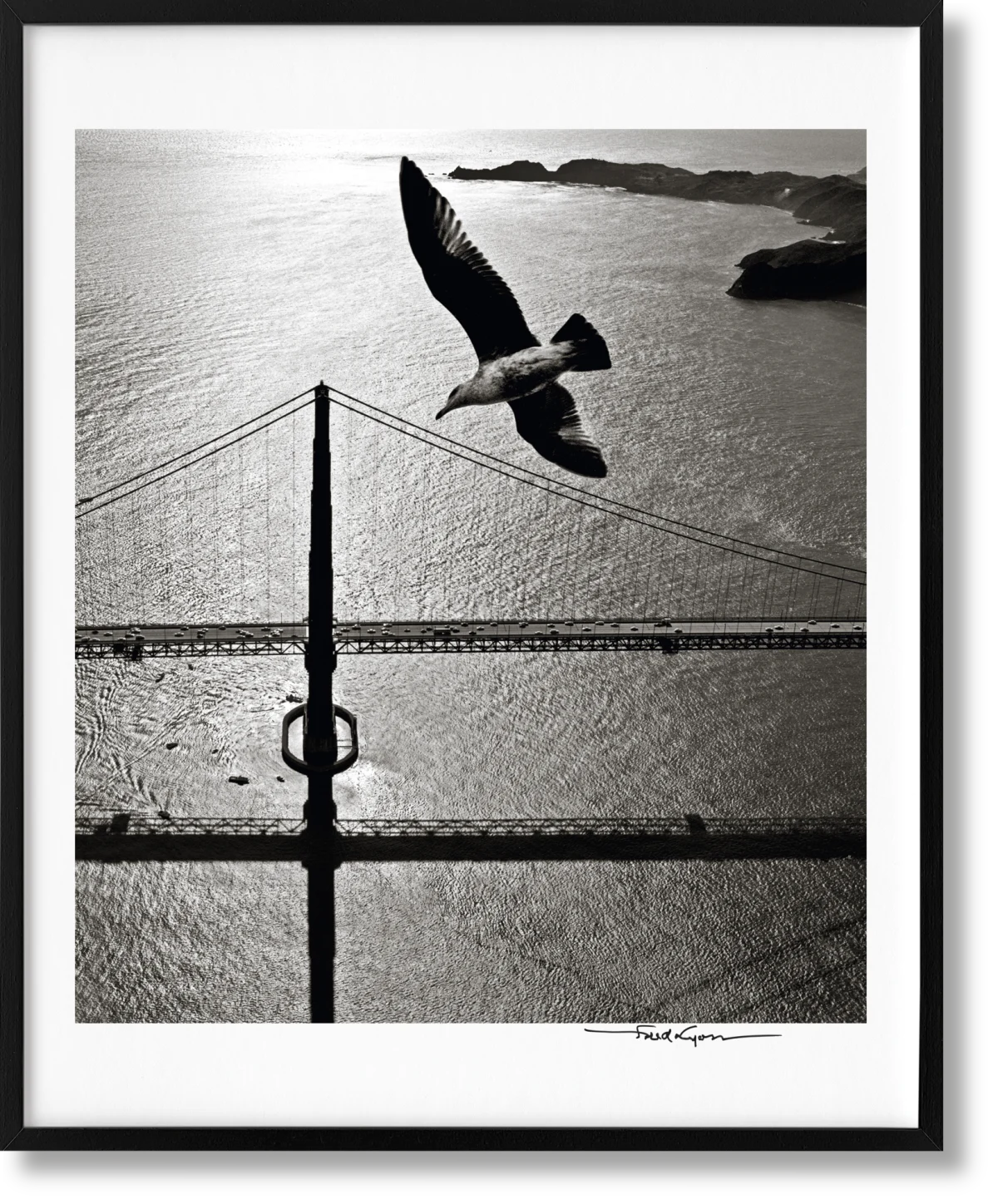 San Francisco. Portrait of a City, Art Edition No. 76–150 'Seagull over Golden Gate Bridge, early 1950s'