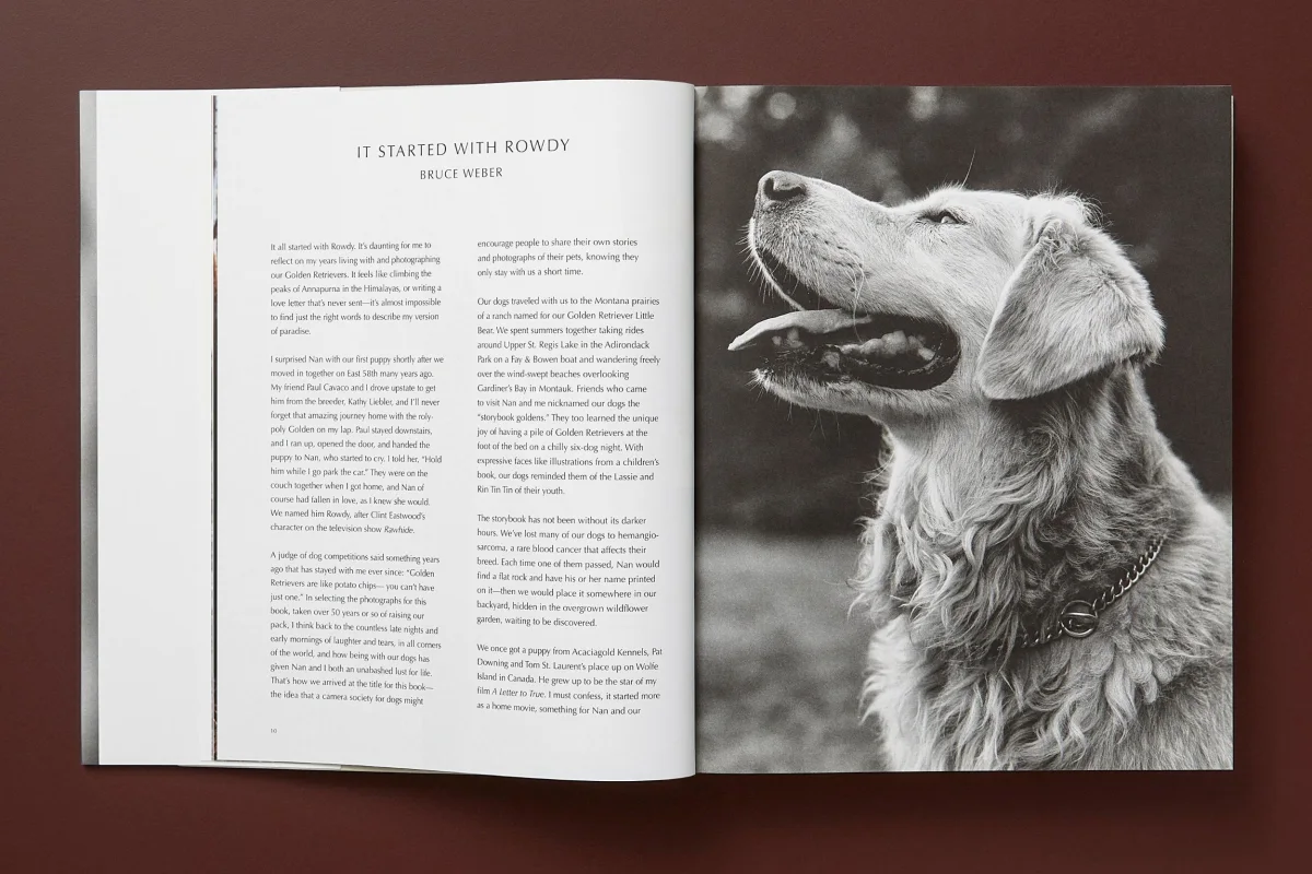 Bruce Weber. The Golden Retriever Photographic Society. Art Edition No. 1–100 ‘Little Bear Ranch, Montana, 1996’