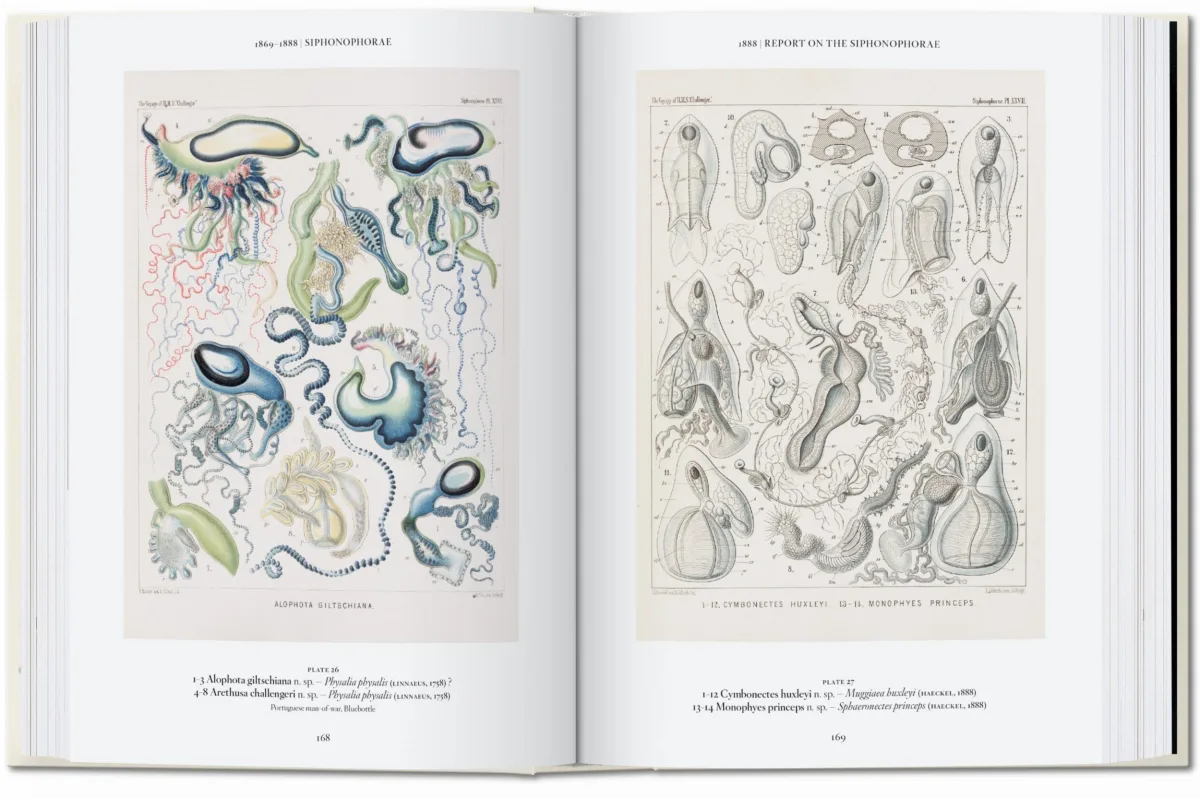 L’art et la science de Ernst Haeckel. 40th Ed.