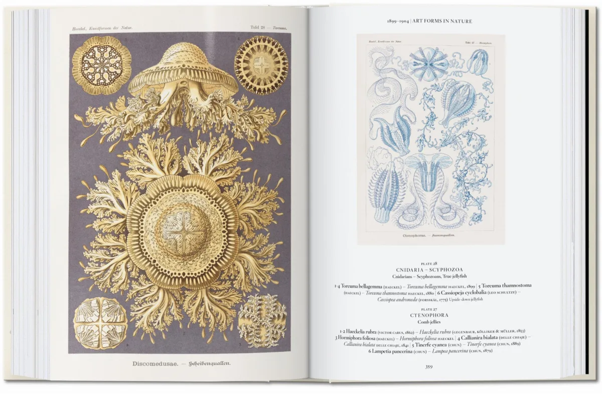 L’art et la science de Ernst Haeckel. 40th Ed.