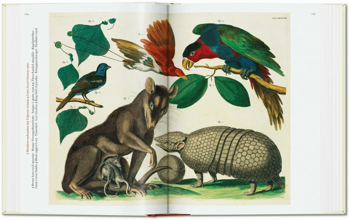 TASCHEN Books: Seba. Cabinet of Natural Curiosities. 40th Ed.