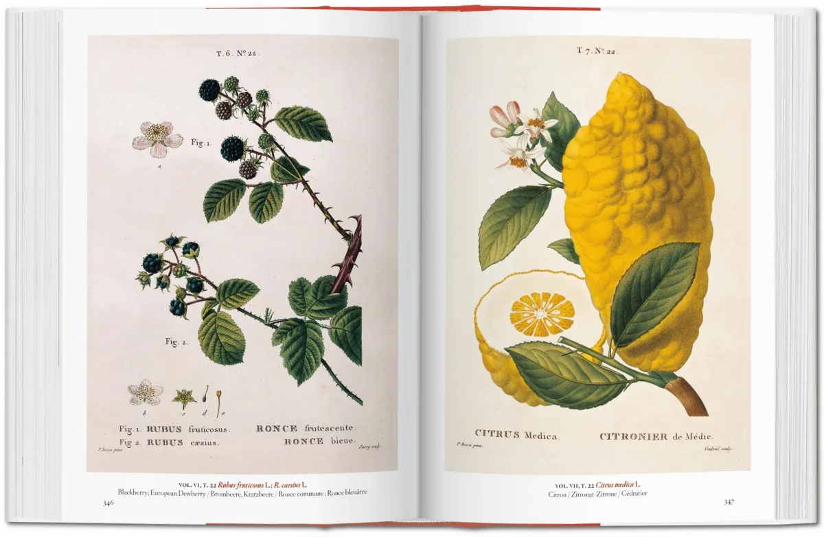 Un jardin d'Eden. Chefs-d’œuvre de l’illustration botanique. 40th Ed.
