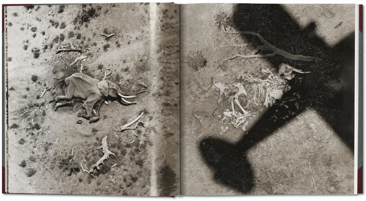 Peter Beard. The End of the Game