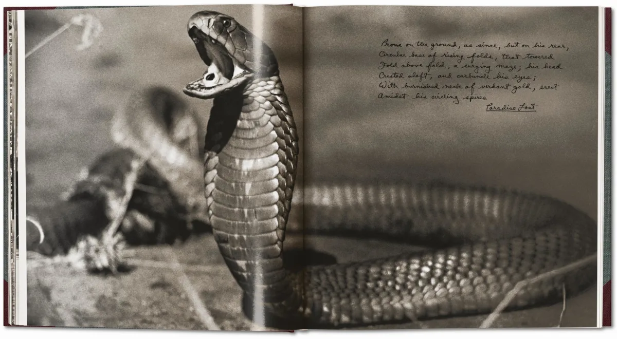 TASCHEN Books: Peter Beard. The End of the Game