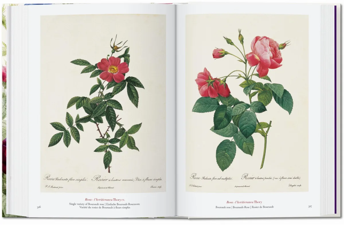 Redouté. Das Buch der Blumen. 40th Ed.