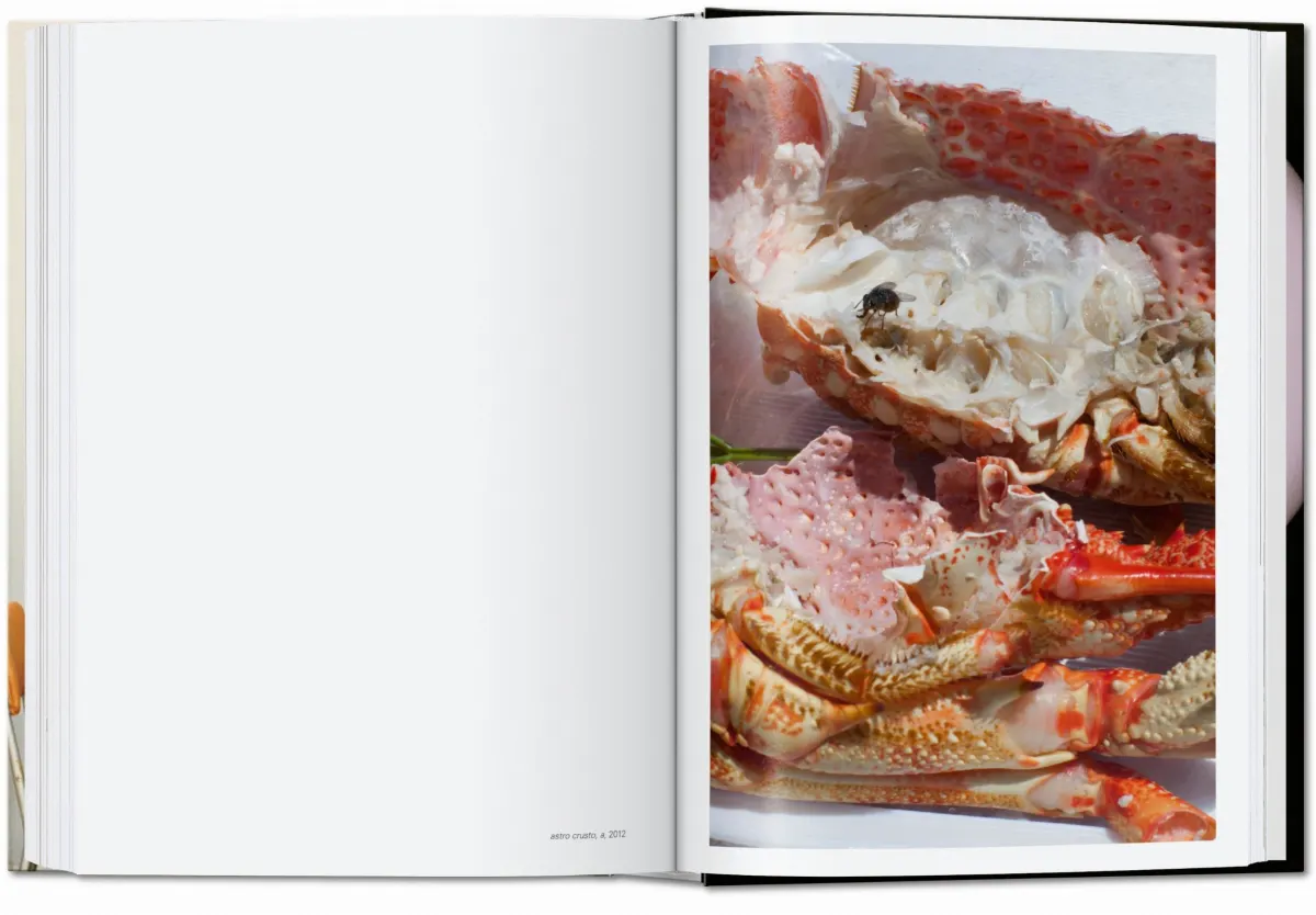 TASCHEN Books: Wolfgang Tillmans. four books. 40th Ed.