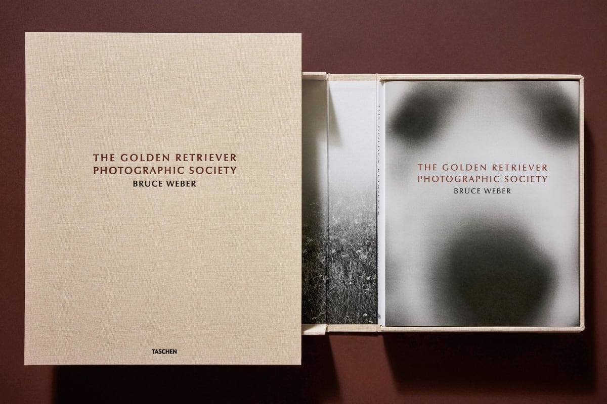 Bruce Weber. The Golden Retriever Photographic Society. Art Edition No. 101–200 ‘Hud, New York City, 2011’