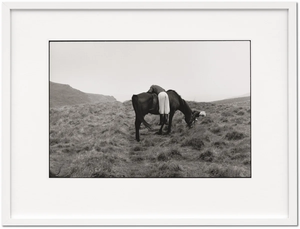 Linda McCartney. Life in Photographs, Art Edition No. 1–125 ‘Horse’