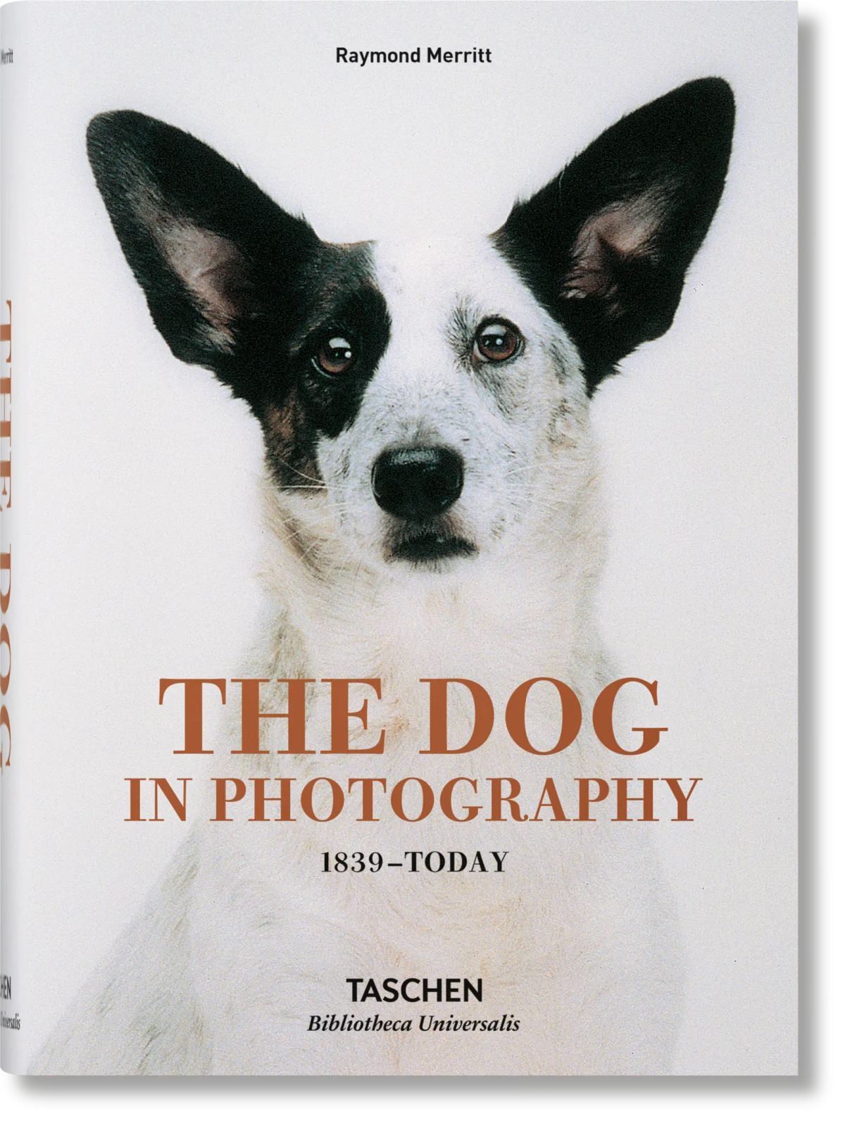 Le chien dans la photographie 1839 à aujourd'hui