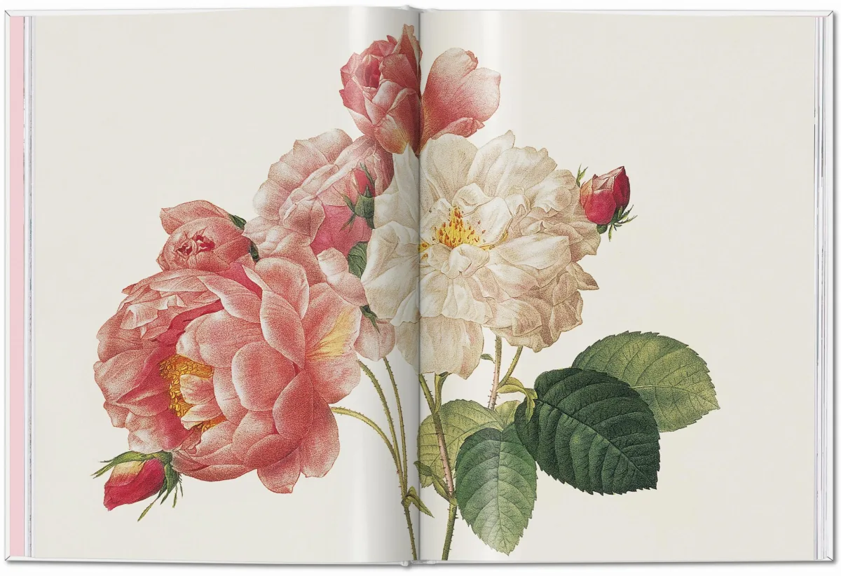 TASCHEN Books: Redouté. Roses