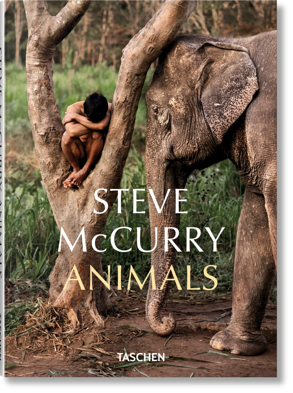 McCurry, Animals