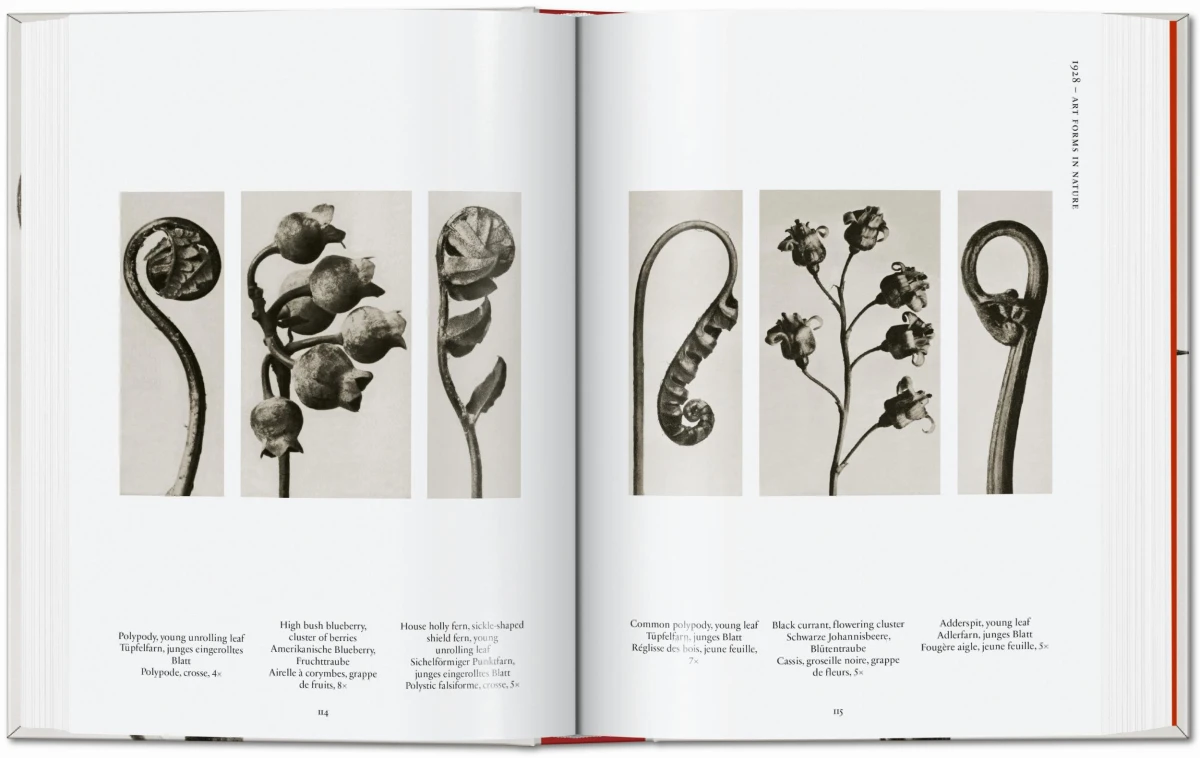 Karl Blossfeldt. The Complete Published Work. 40th Ed.