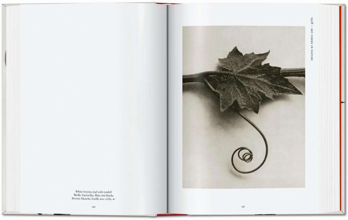 Karl Blossfeldt. The Complete Published Work. 40th Ed.