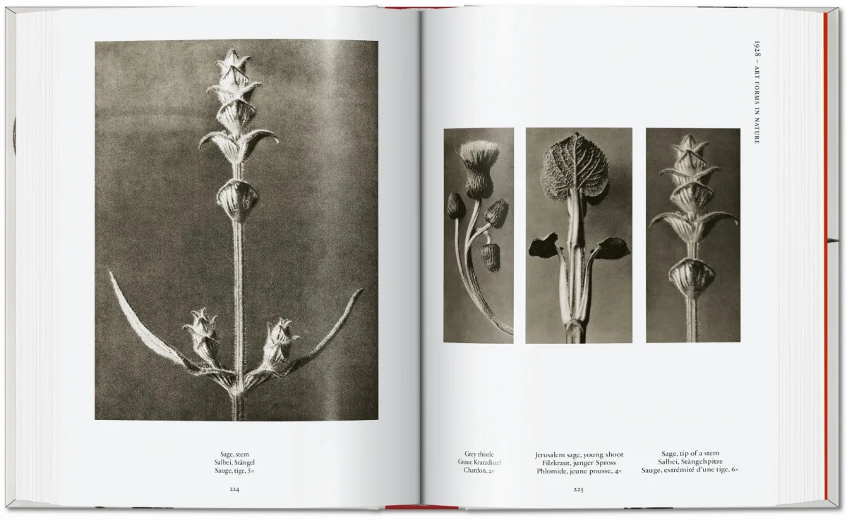 Karl Blossfeldt. The Complete Published Work. 40th Ed.