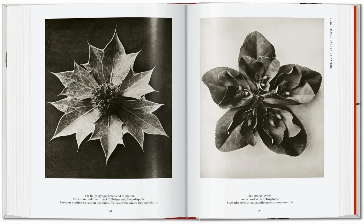 Karl Blossfeldt. The Complete Published Work. 40th Ed.