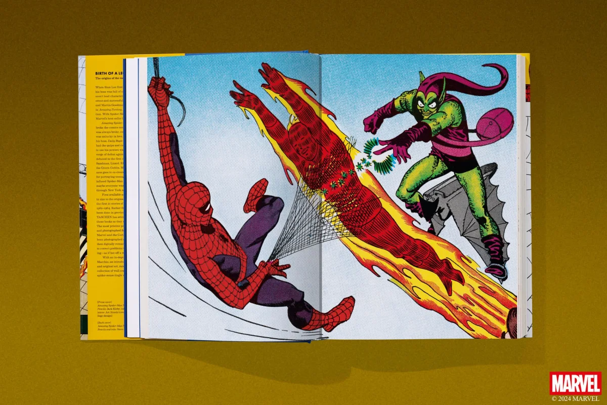 Marvel Comics Library. Spider-Man. 1962–1964