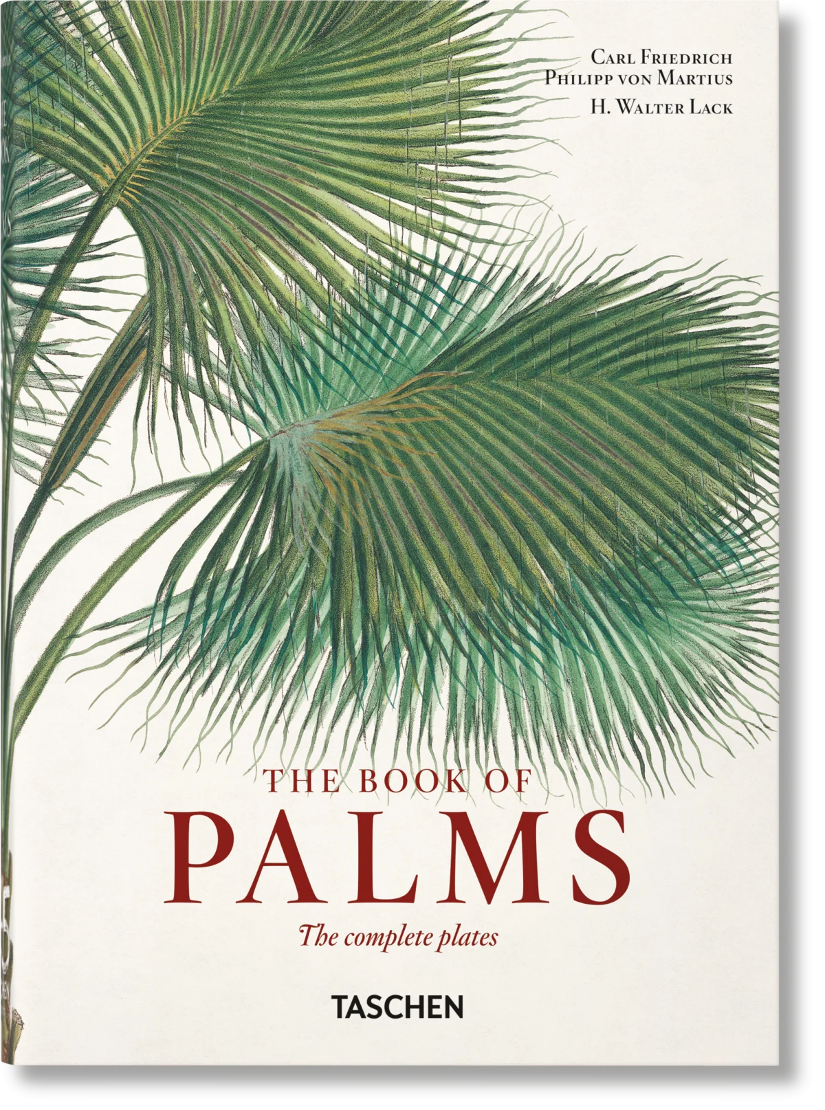 Martius. The Book of Palms. 45th Ed.