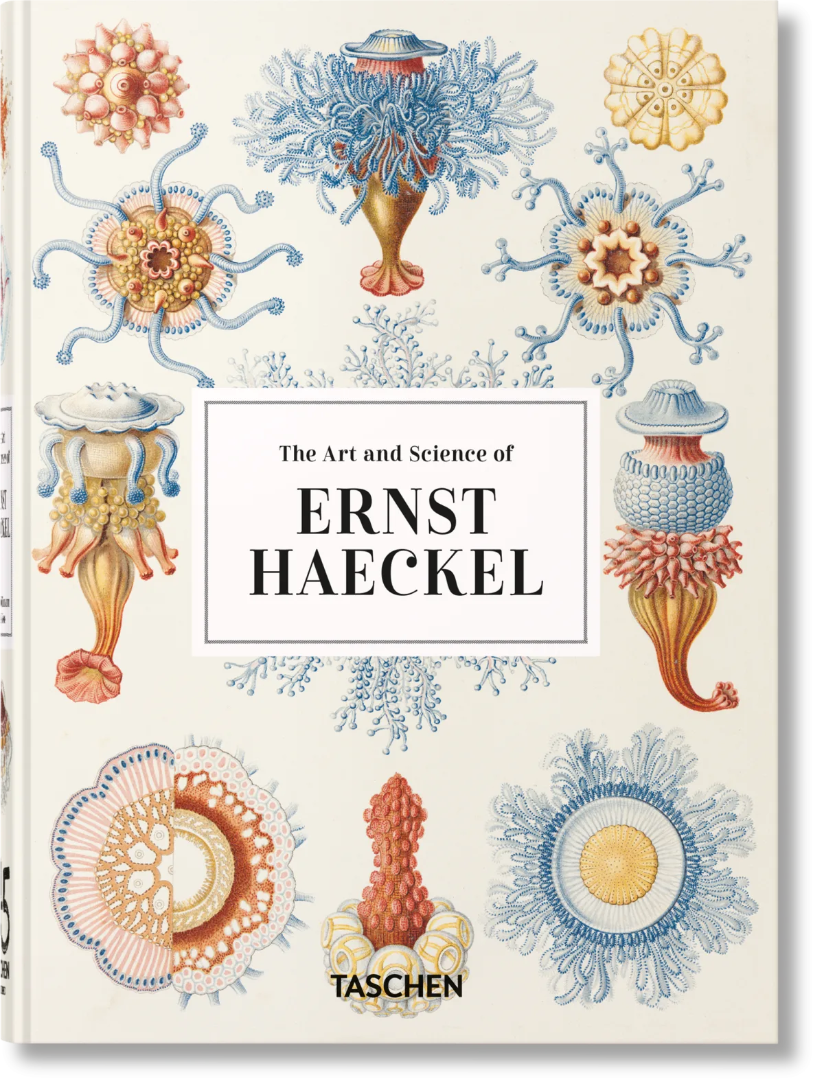 L’art et la science de Ernst Haeckel. 45th Ed. - Image 1 de 8