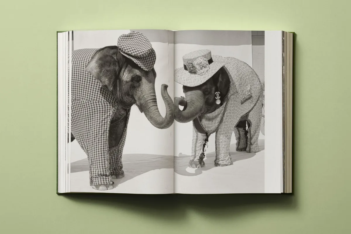 Bruce Weber. My Education - Image 9 of 27