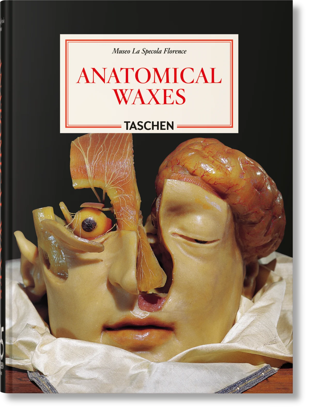 Anatomical Waxes. 45th Ed. - Bild 1 von 1