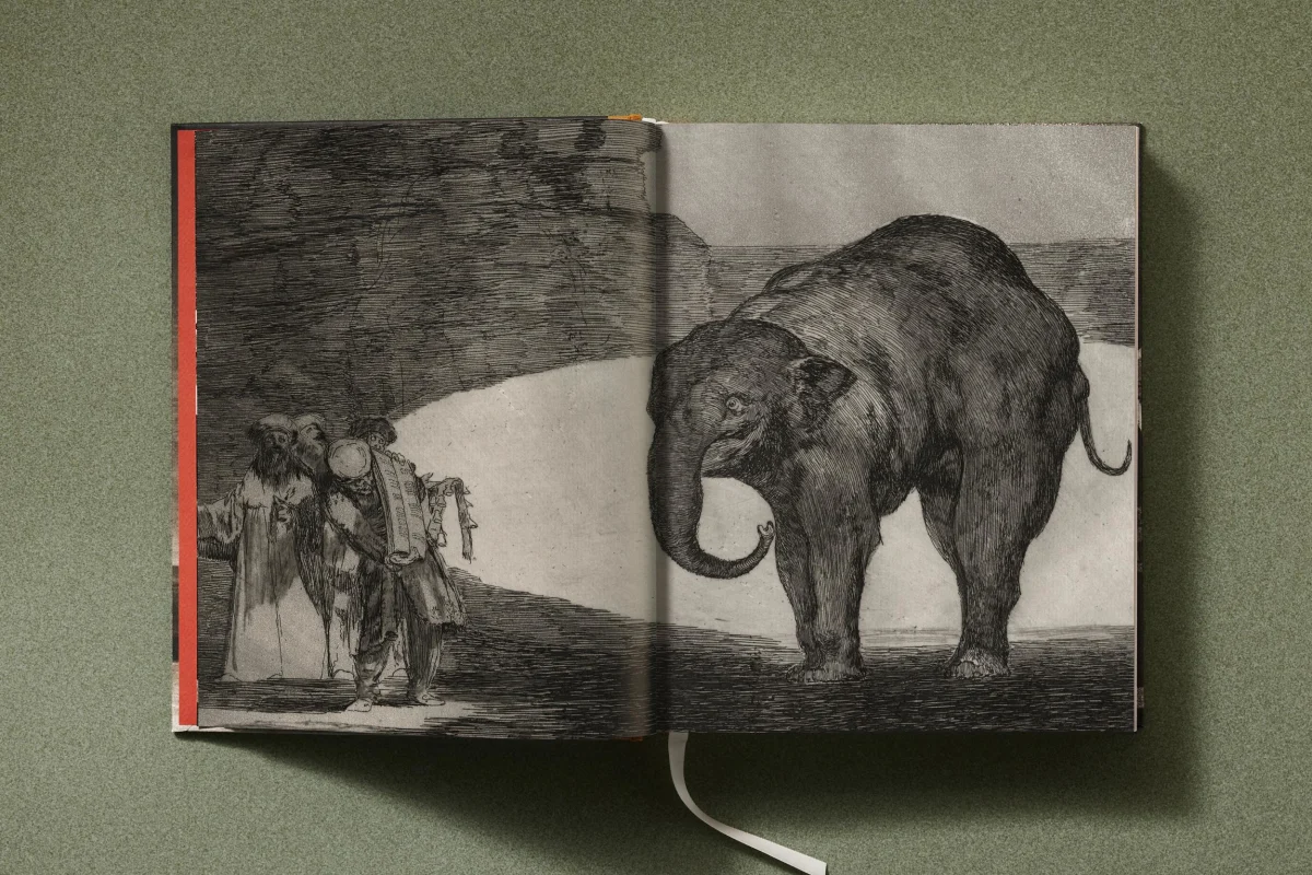 Goya. The Complete Prints - Image 6 of 30