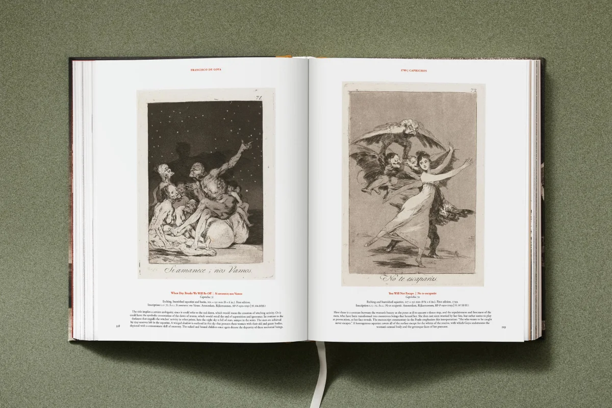 Goya. The Complete Prints - Image 15 of 30