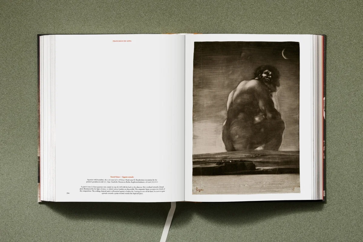 Goya. The Complete Prints - Image 22 of 30