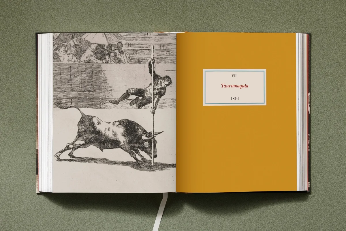 Goya. The Complete Prints - Image 23 of 30
