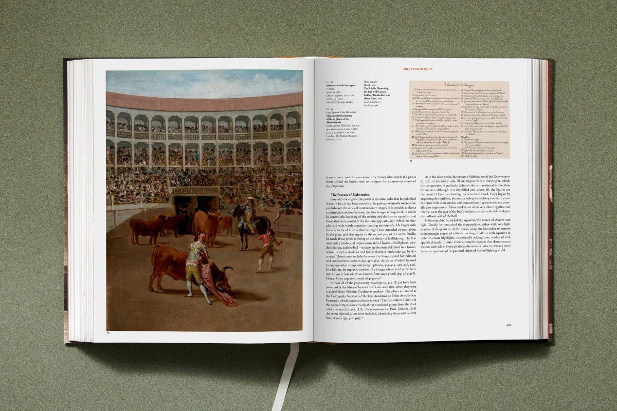 Goya. The Complete Prints - Image 25 of 30