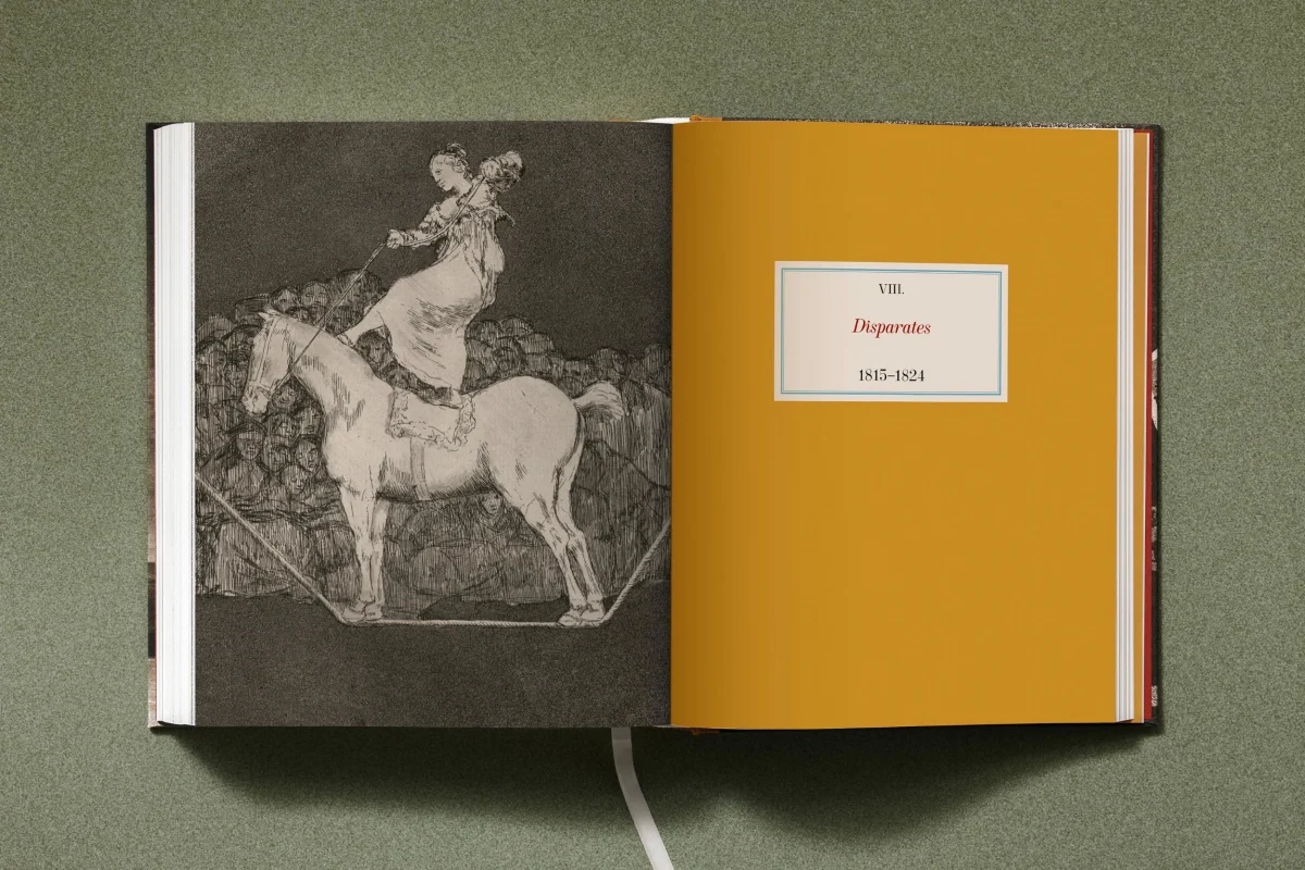 Goya. The Complete Prints - Image 28 of 30