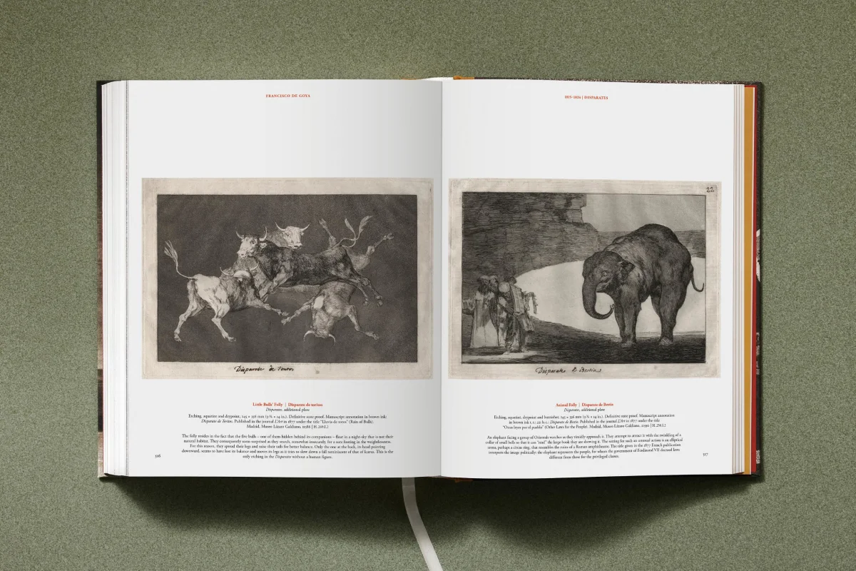 Goya. The Complete Prints - Image 29 of 30