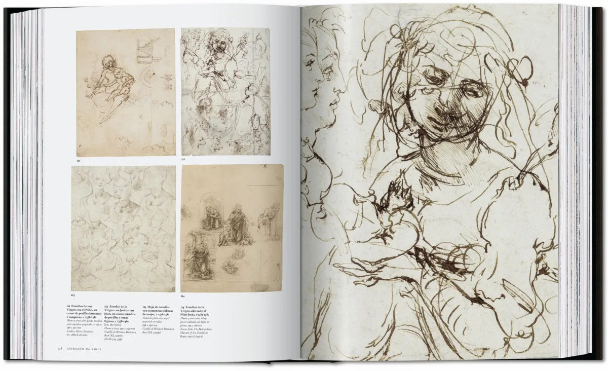 Leonardo. Obra pictórica completa y obra gráfica - Imagen 13 de 25