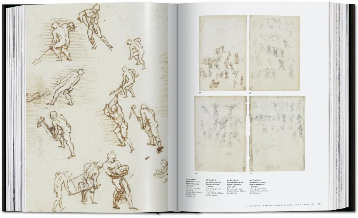 Leonardo. Obra pictórica completa y obra gráfica - Imagen 14 de 25