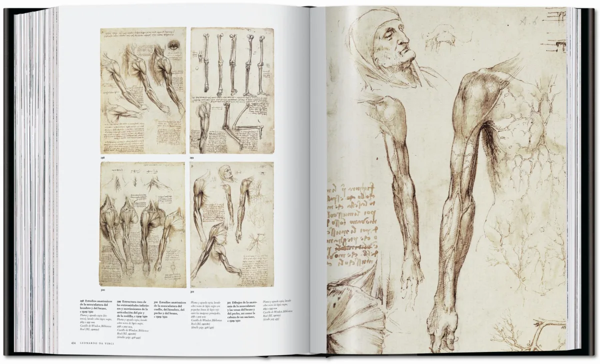 Leonardo. Obra pictórica completa y obra gráfica - Imagen 16 de 25