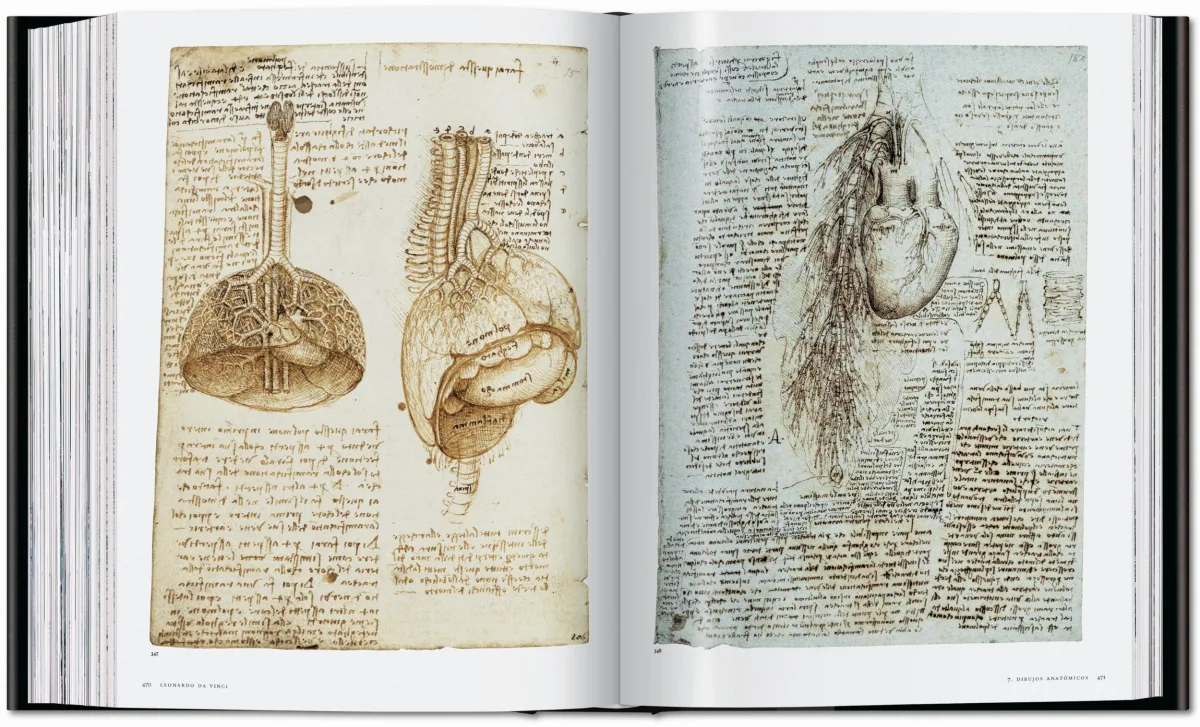 Leonardo. Obra pictórica completa y obra gráfica - Imagen 17 de 25