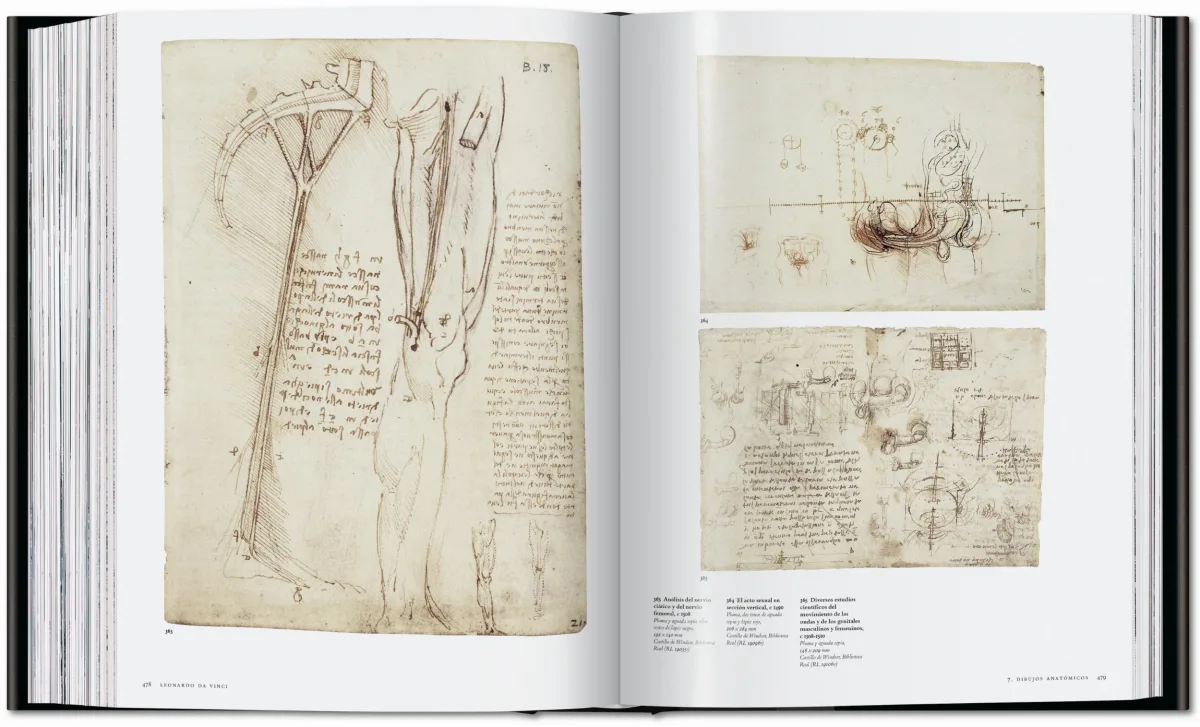 Leonardo. Obra pictórica completa y obra gráfica - Imagen 18 de 25