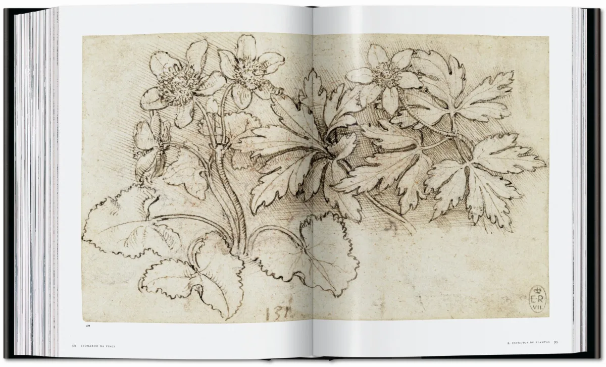 Leonardo. Obra pictórica completa y obra gráfica - Imagen 19 de 25