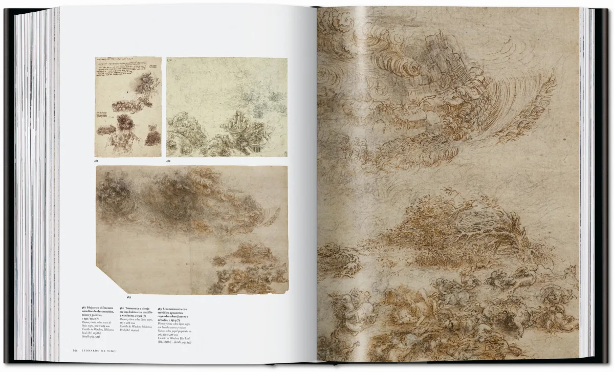 Leonardo. Obra pictórica completa y obra gráfica - Imagen 20 de 25
