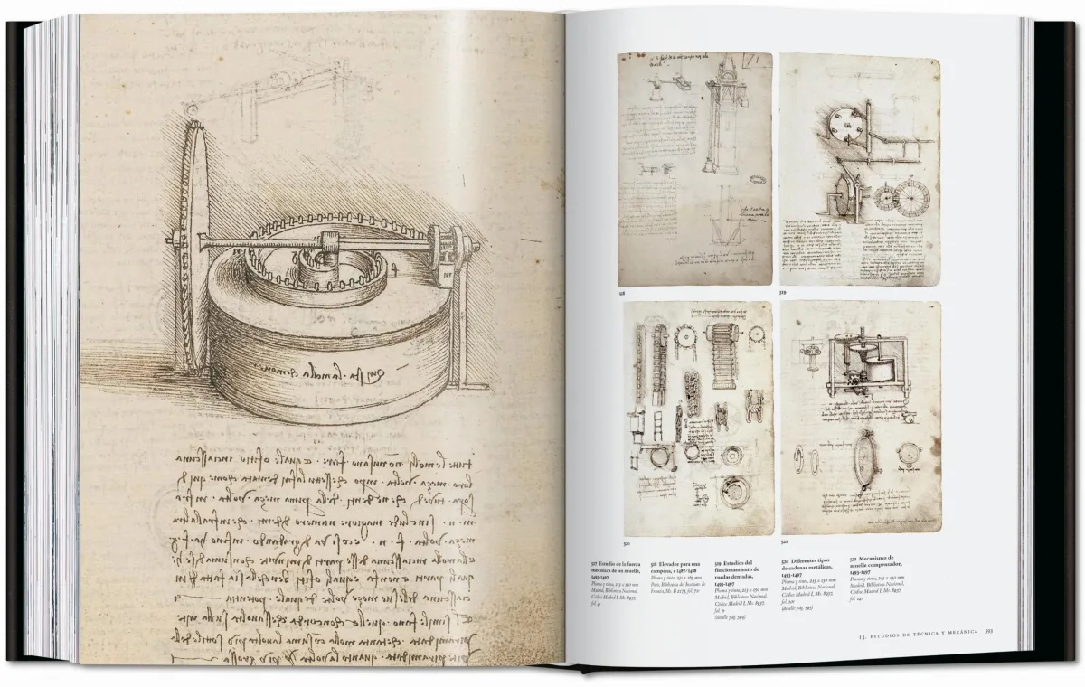 Leonardo. Obra pictórica completa y obra gráfica - Imagen 23 de 25
