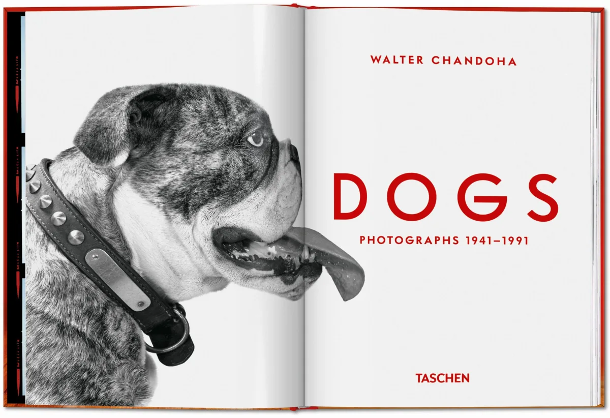 Walter Chandoha. Dogs. Photographs 1941–1991 - Image 2 of 26