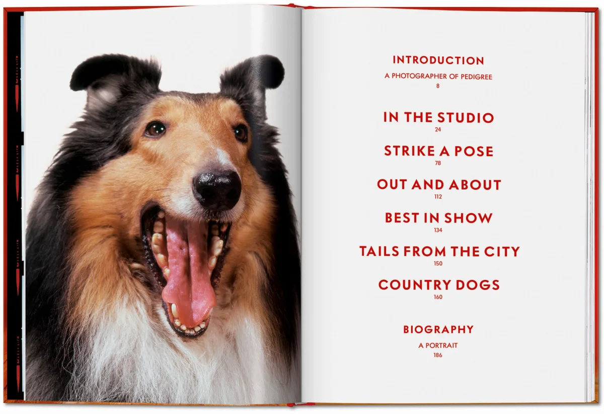 Walter Chandoha. Dogs. Photographs 1941–1991 - Image 4 of 26
