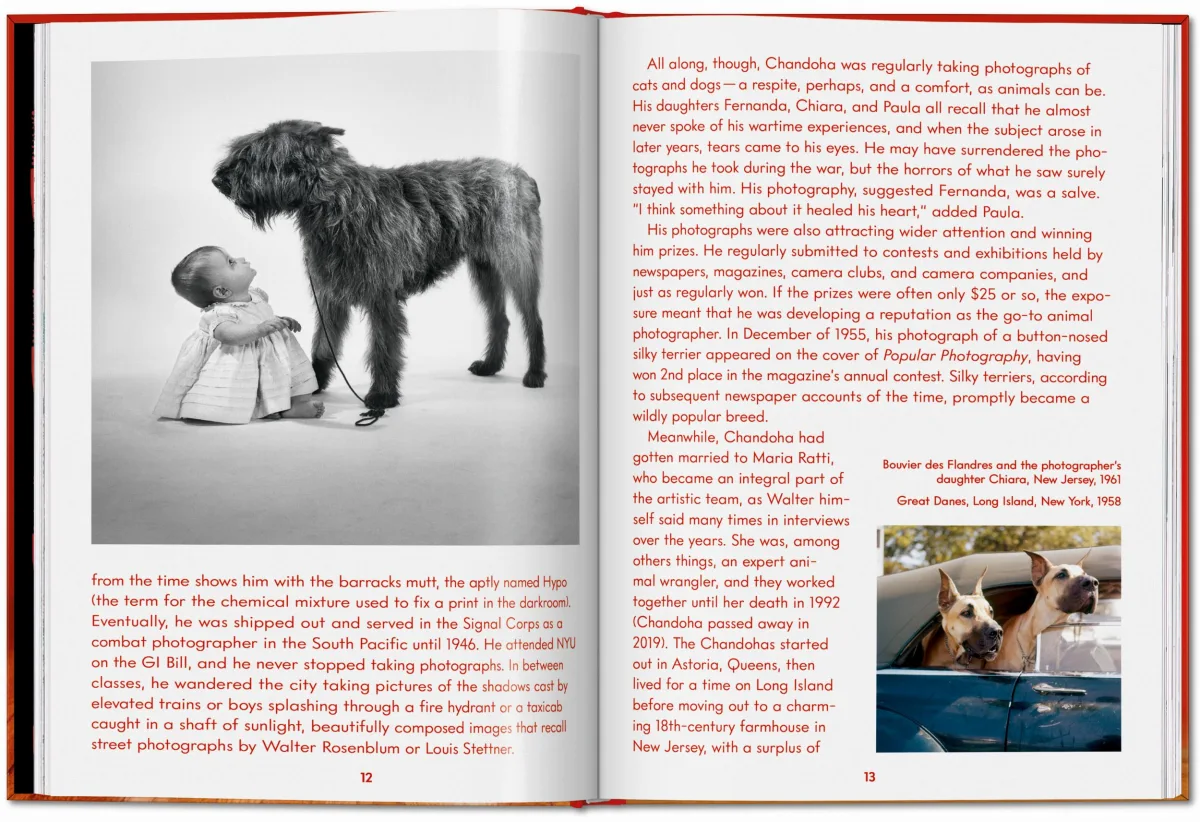 Walter Chandoha. Dogs. Photographs 1941–1991 - Image 6 of 26