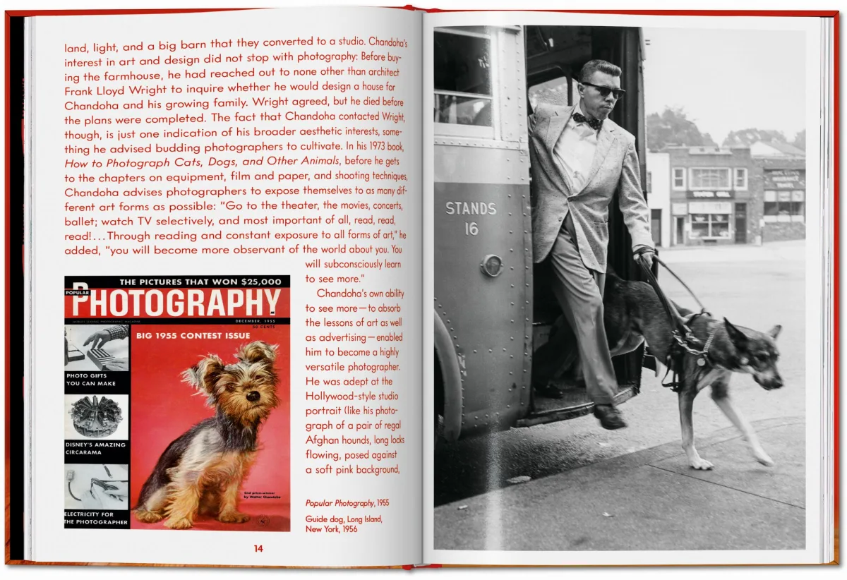 Walter Chandoha. Dogs. Photographs 1941–1991 - Image 7 of 26