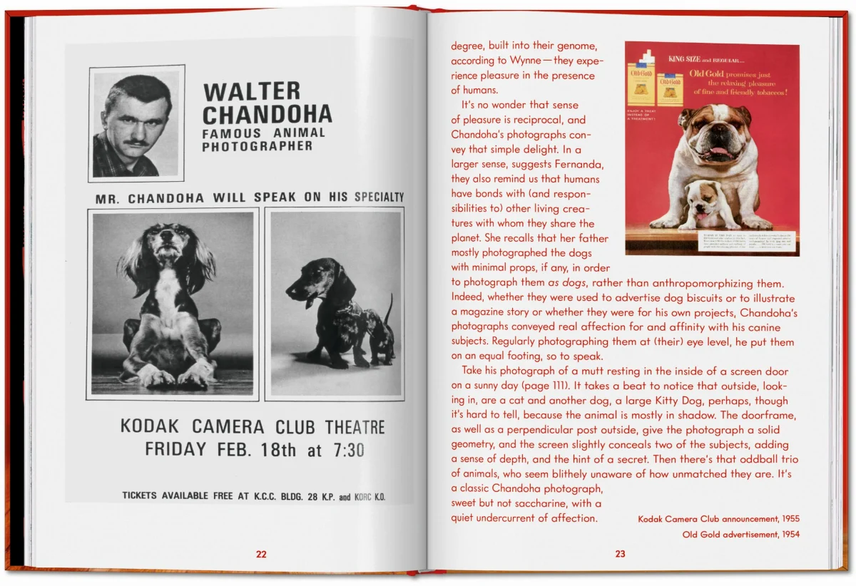 Walter Chandoha. Dogs. Photographs 1941–1991 - Image 8 of 26
