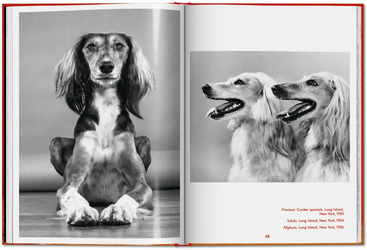 Walter Chandoha. Dogs. Photographs 1941–1991 - Image 13 of 26