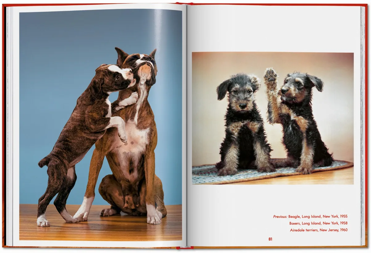 Walter Chandoha. Dogs. Photographs 1941–1991 - Image 16 of 26